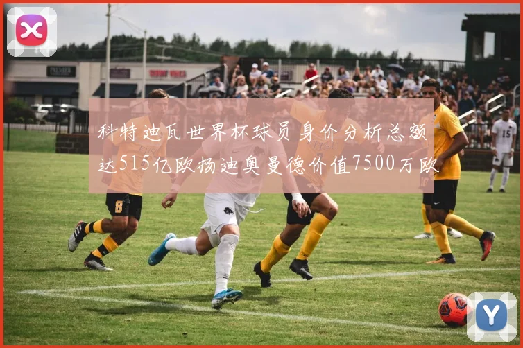 科特迪瓦世界杯球员身价分析总额达515亿欧扬迪奥曼德价值7500万欧