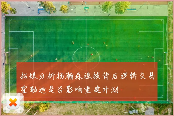拓媒分析杨瀚森选拔背后逻辑交易霍勒迪是否影响重建计划